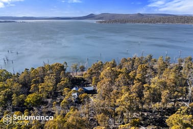 329 Arthurs Lake Rd Arthurs Lake TAS 7030 - Image 2