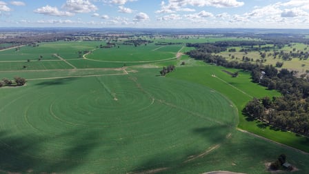 7454 Lachlan Valley Way Forbes NSW 2871 - Image 1