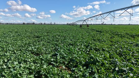 7454 Lachlan Valley Way Forbes NSW 2871 - Image 2