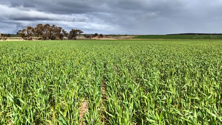 "Southies" Fewster Road Korbel WA 6415 - Image 2
