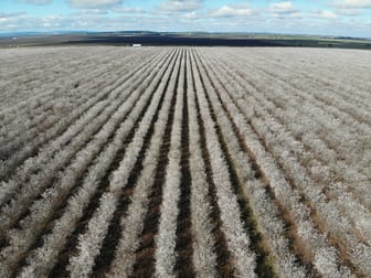 Tharbogang NSW 2680 - Image 1