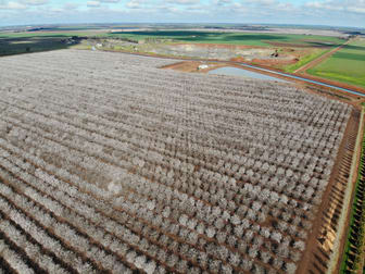 Tharbogang NSW 2680 - Image 2