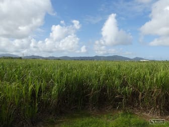 Lot 2 Goondi Mill Road Goondi Bend QLD 4860 - Image 2