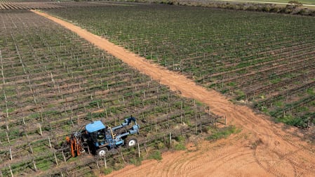 Various Allotments, Waikerie District Waikerie SA 5330 - Image 1