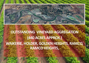Various Allotments, Waikerie District Waikerie SA 5330 - Image 2