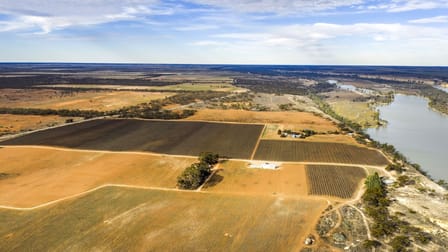 14921 & 14985 Sturt Highway Wigley Flat SA 5330 - Image 1