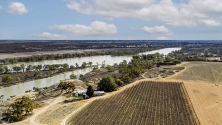 14921 & 14985 Sturt Highway Wigley Flat SA 5330 - Image 2