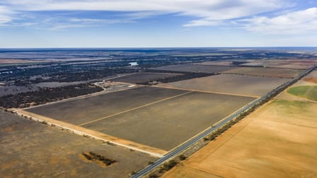 14921 & 14985 Sturt Highway Wigley Flat SA 5330 - Image 3