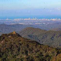 Springbrook QLD 4213 - Image 2