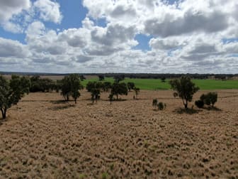 975 Cedarvale Road Cooranga QLD 4408 - Image 2