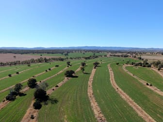 975 Cedarvale Road Cooranga QLD 4408 - Image 3