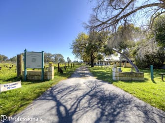 179 Memorial Avenue Baskerville WA 6056 - Image 2