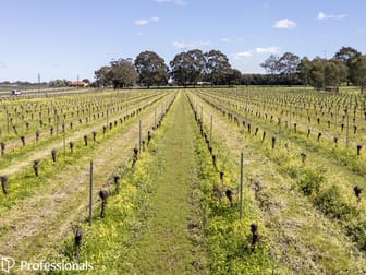 179 Memorial Avenue Baskerville WA 6056 - Image 3