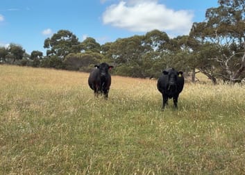 Click to view all images 565 Gordon Road Meningie East SA 5264 - Image 1