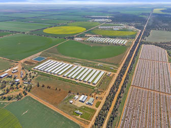 Back Hillston Road Tabbita NSW 2652 - Image 1