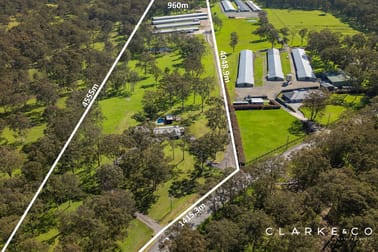 667 Seaham Road Nelsons Plains NSW 2324 - Image 2