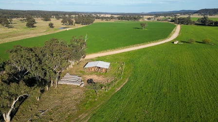 1799 Digilah Road Dunedoo NSW 2844 - Image 3