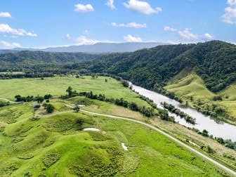 299 Upper Daintree Road, Upper Daintree Daintree QLD 4873 - Image 1