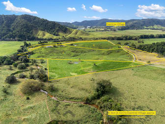 299 Upper Daintree Road, Upper Daintree Daintree QLD 4873 - Image 2