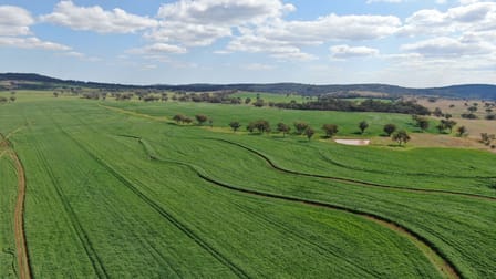 11 Rosehill Road Rocky Creek NSW 2371 - Image 1