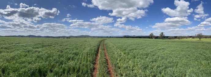 11 Rosehill Road Rocky Creek NSW 2371 - Image 3