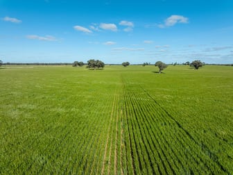 265 Bookit Island Lane Barham NSW 2732 - Image 3