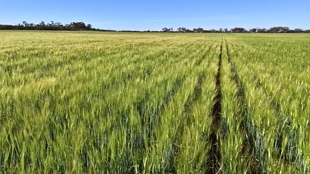 1650 Dulyalbin Road South Bodallin WA 6424 - Image 1