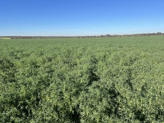 1650 Dulyalbin Road South Bodallin WA 6424 - Image 3