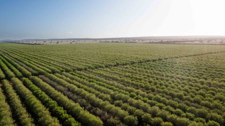 Click to view all images Griffith NSW 2680 - Image 1