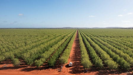 Click to view all images Griffith NSW 2680 - Image 2