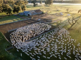 Click to view all images 3688 Sturt Highway Collingullie NSW 2650 - Image 2