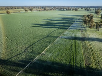 Click to view all images 3688 Sturt Highway Collingullie NSW 2650 - Image 3