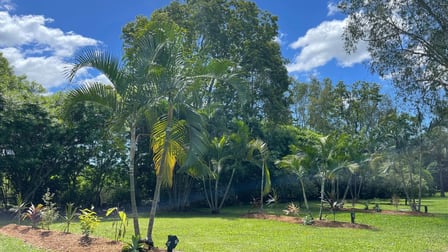 13067 Bruce Highway Myrtlevale QLD 4800 - Image 3