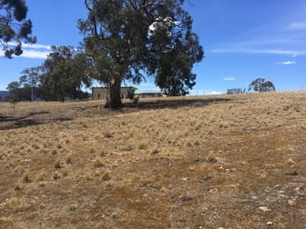 "Pony Hill" 11 & 12 Glebe Street Pontville TAS 7030 - Image 1