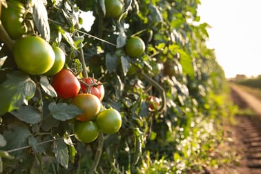 Click to view all images 37 Inveroona Road Bowen QLD 4805 - Image 3