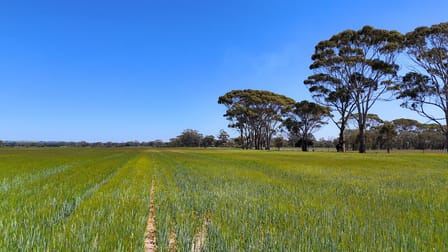 Lots 501 & 34 Great Southern Highway Kokeby WA 6304 - Image 1