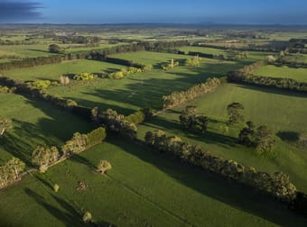 153 Caddys Lane Tylden VIC 3444 - Image 2