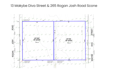 13 Makybe Diva Street Scone NSW 2337 - Image 2