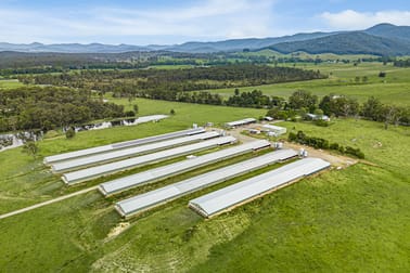 438 Markwell Road Bulahdelah NSW 2423 - Image 3