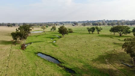 2200 Ashford Road Bukkulla NSW 2360 - Image 3