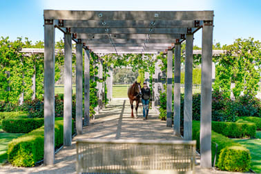 145 & 50 Carters Road and Lot 4 & Lot 5, 305 Ross Road Arcadia VIC 3631 - Image 3