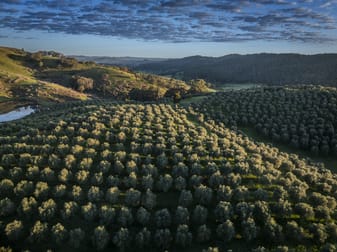 Click to view all images 3326 Peelwood Rd Peelwood NSW 2583 - Image 2