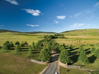 Omeo VIC 3898 - Image 2