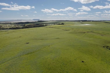 99 Jocks Road Forest TAS 7330 - Image 3