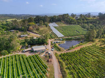 43 Pringle Road Rosemount QLD 4560 - Image 1