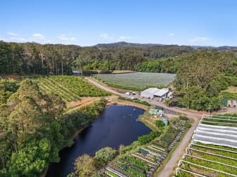 43 Pringle Road Rosemount QLD 4560 - Image 2