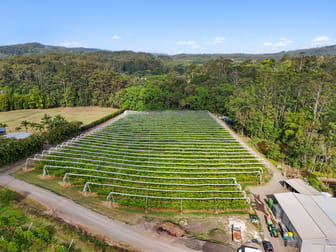 43 Pringle Road Rosemount QLD 4560 - Image 3