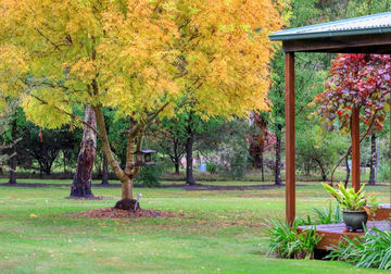 8 Elgin Rd Beechworth VIC 3747 - Image 3