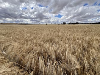 "Waitavalo Farms" Narembeen WA 6369 - Image 3