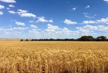 Lot 504 Dowerin-Koorda Road Booralaming WA 6475 - Image 3